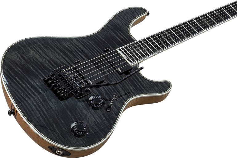 regius pro 6 images