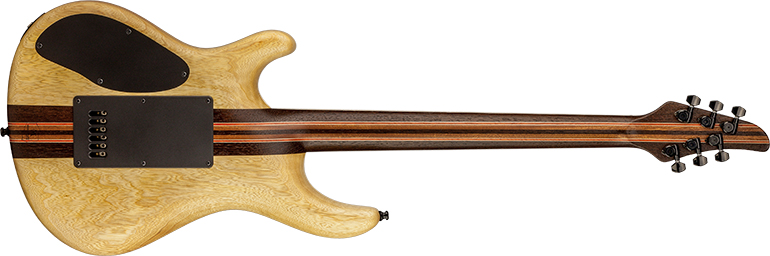 Regius 6 MM 4Ever TT images