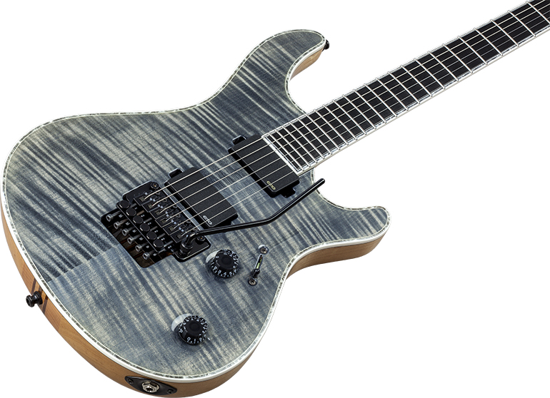 regius pro 6 images