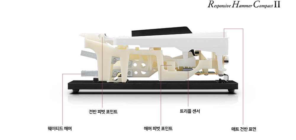 액션 이미지